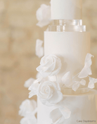 15mm Round Ultra Polished Clear Acrylic Cake Spacers - Prop Options