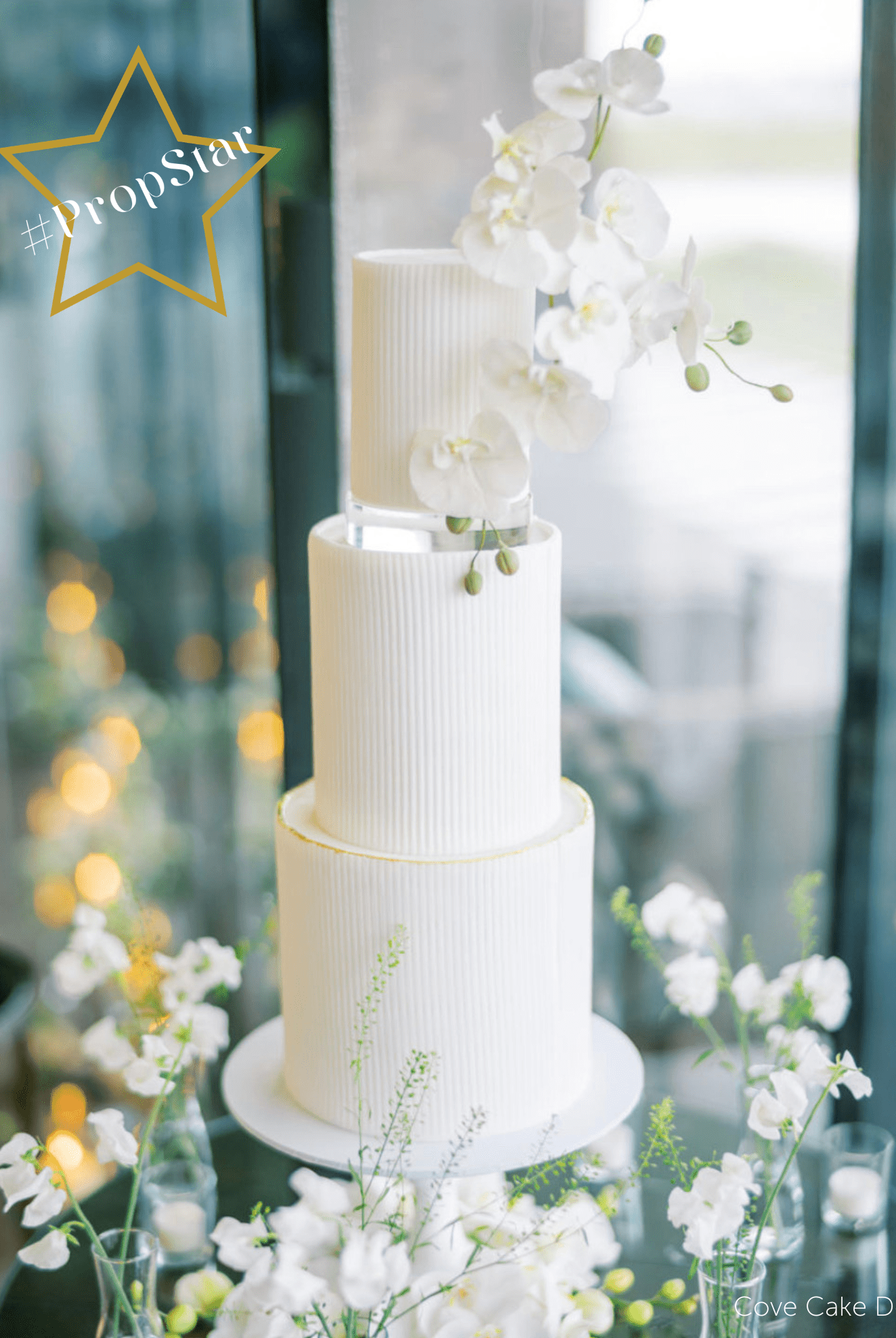 30mm Round Clear Ultra Polished Acrylic Cake Spacer - Prop Options