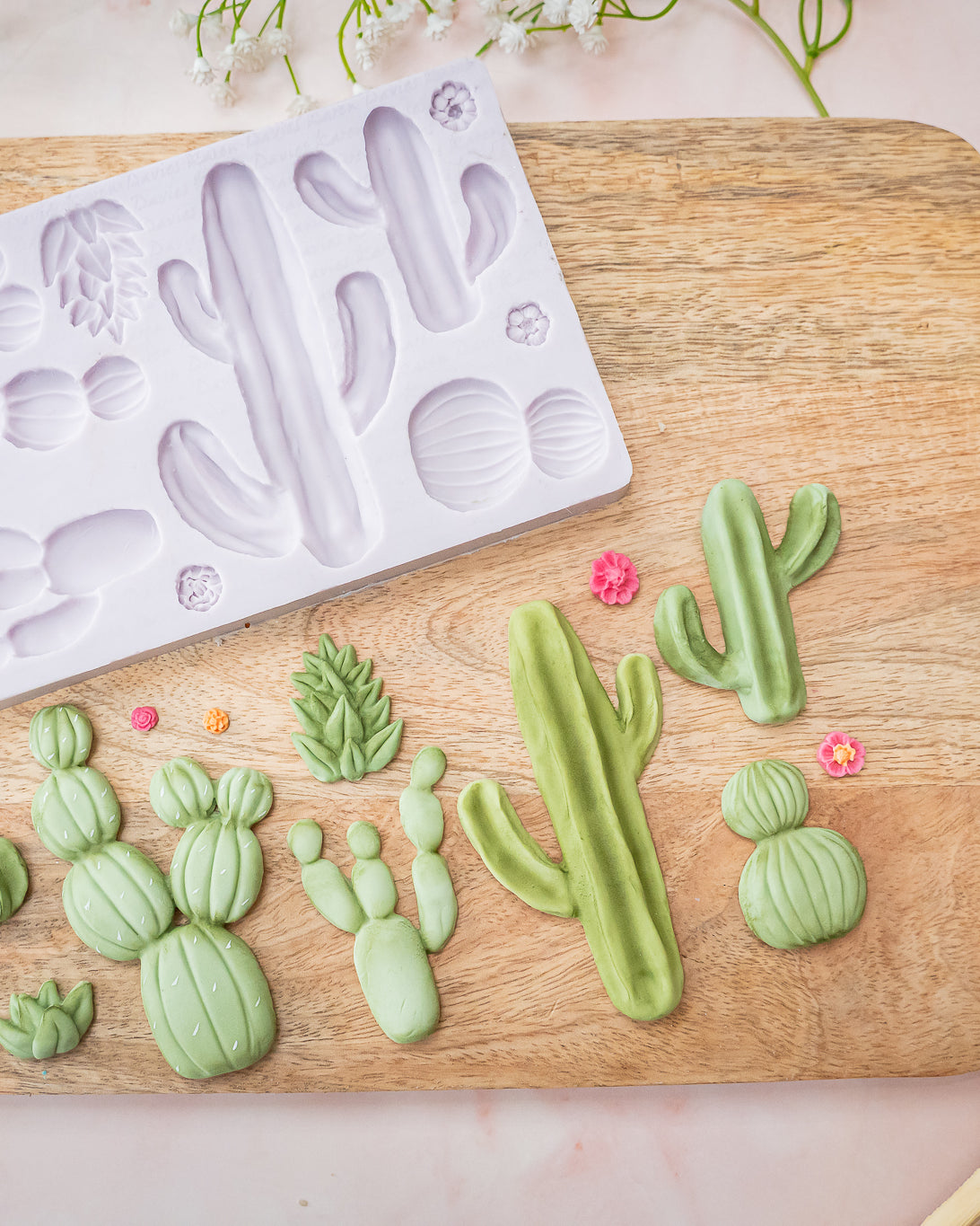Cactus Garden Silicone Mould