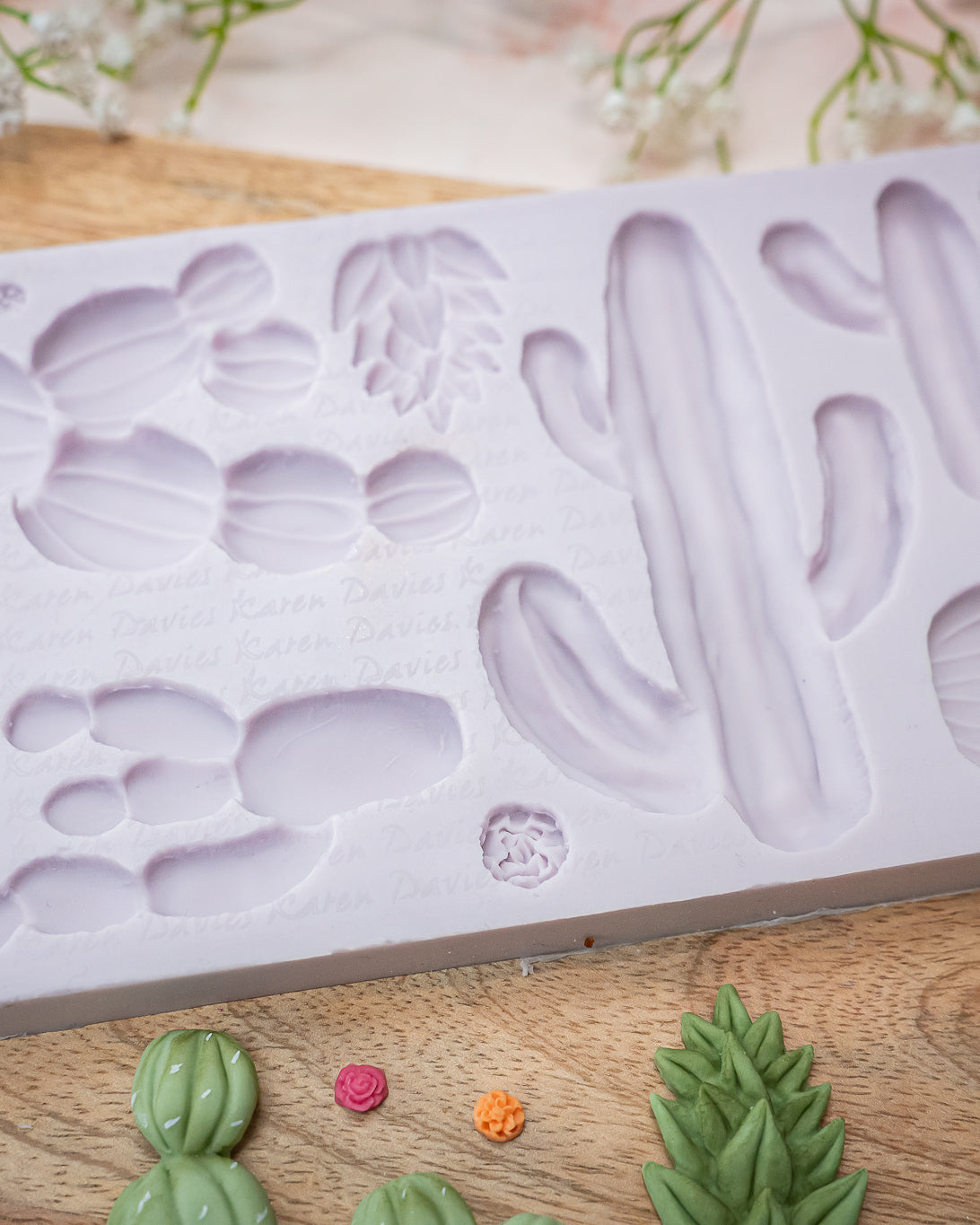 Cactus Garden Silicone Mould