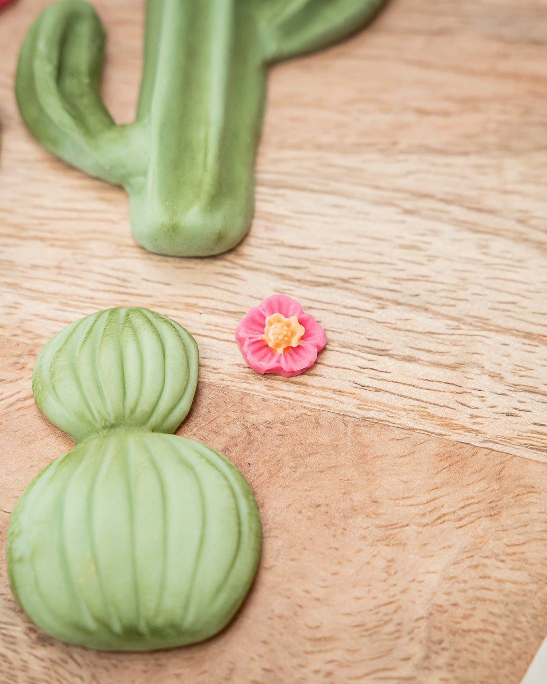 Cactus Garden Silicone Mould