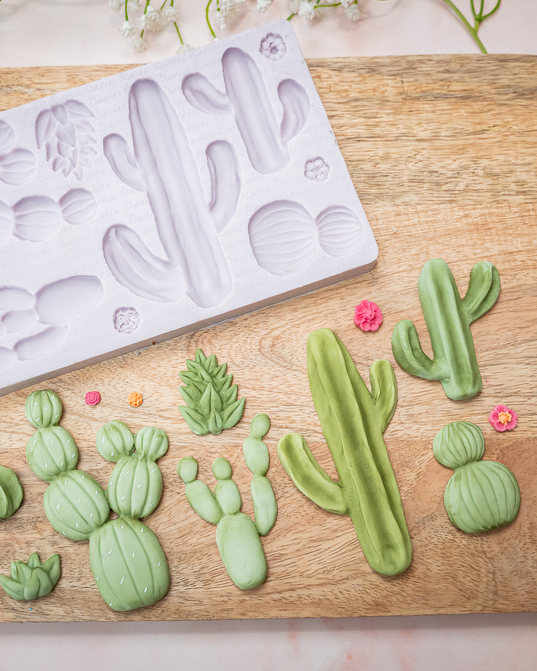 Cactus Garden Silicone Mould