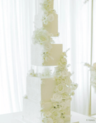 Square Acrylic Fillable Clear Tiers - Prop Options